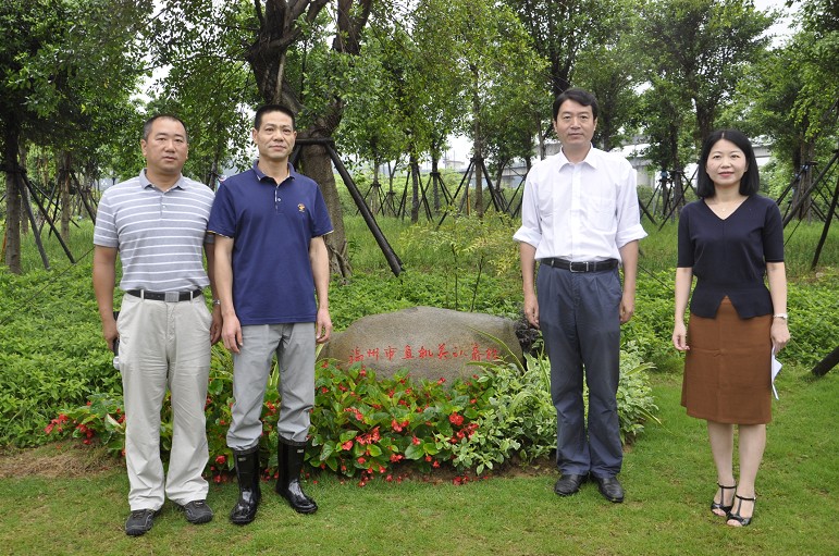 市树认养2
