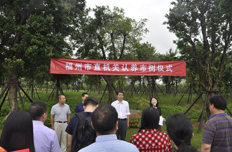 市树认养3