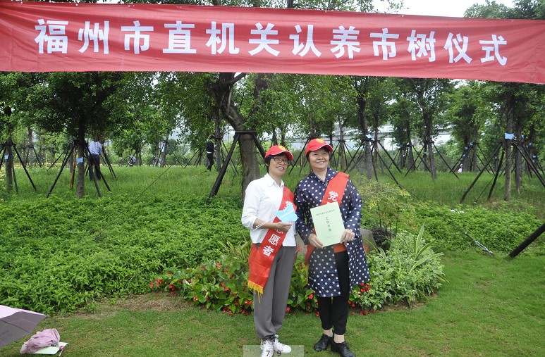 市树认养4