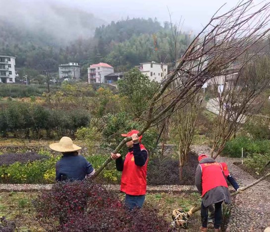园林局2
