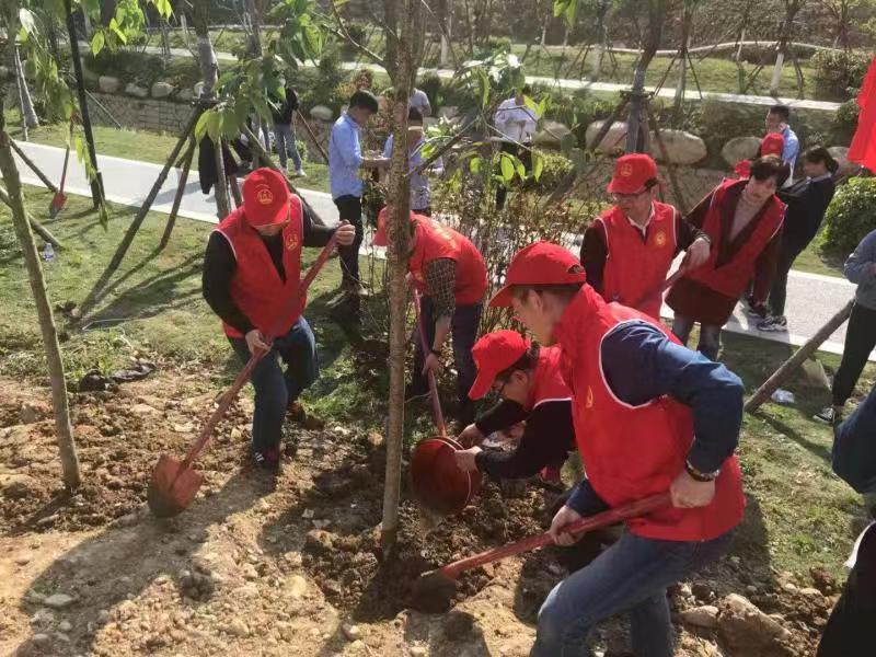 工信局植树活动3
