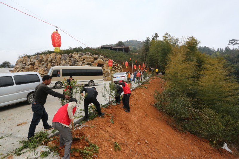 志愿者们在闽清县白中镇继善村生育关怀林道路旁植树