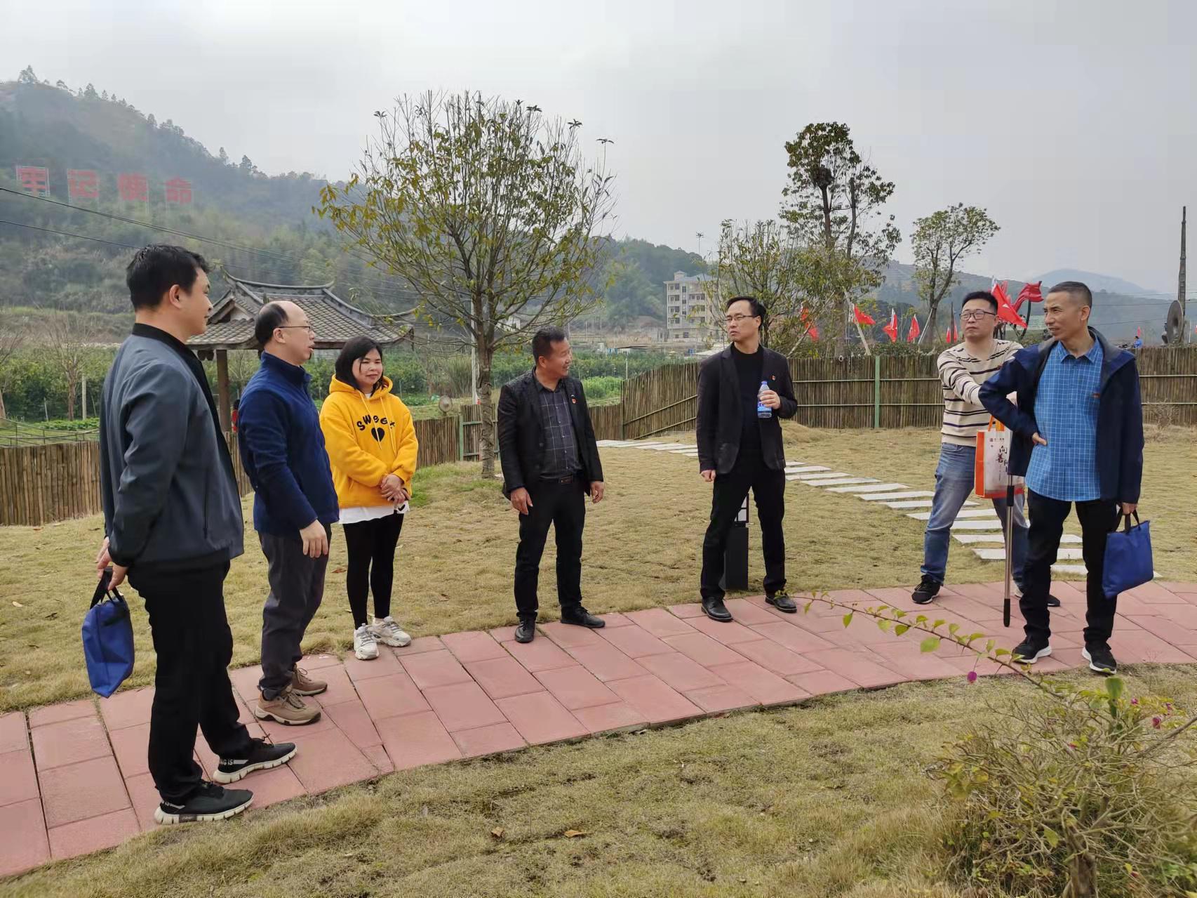调研百丈村乡村振兴工作