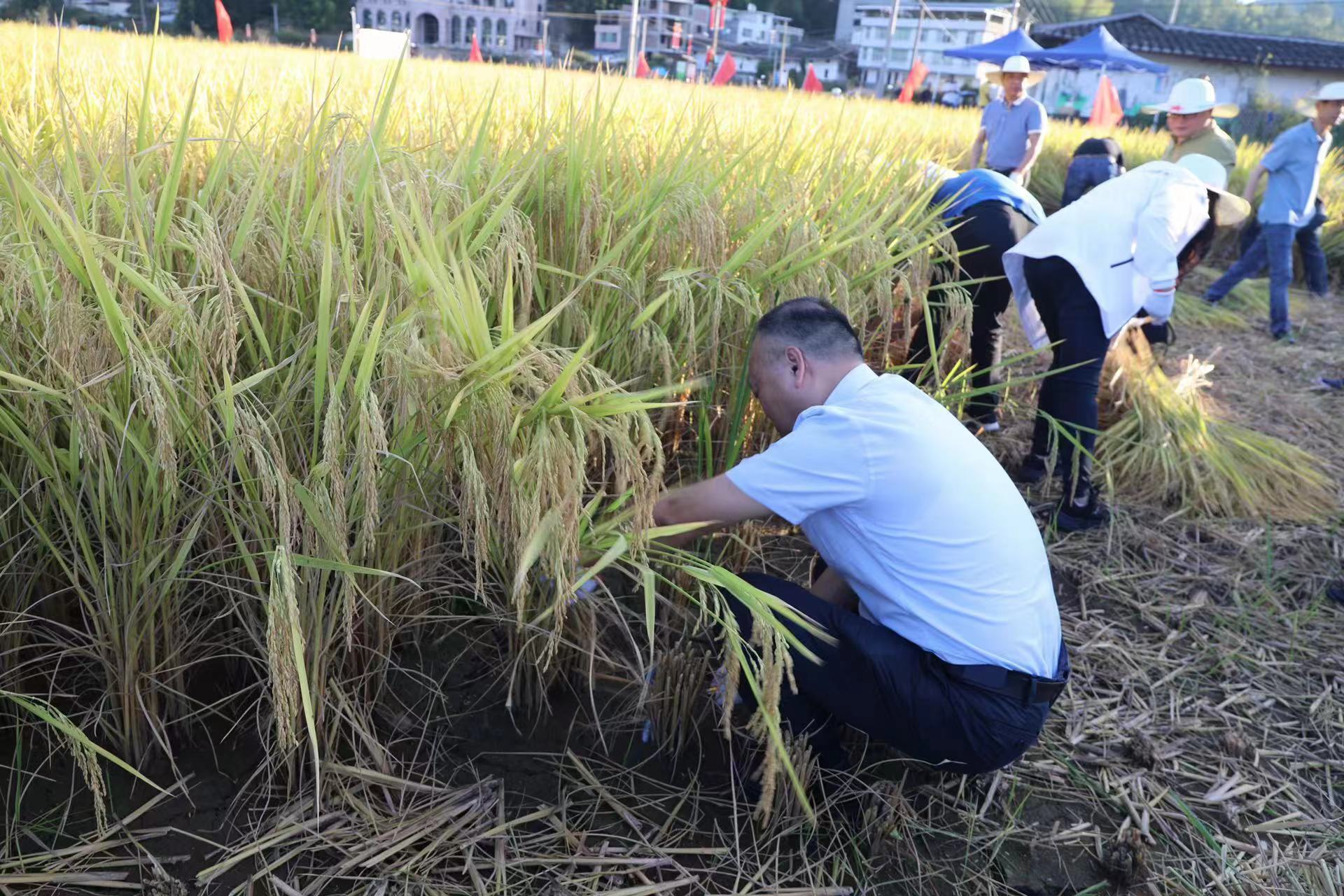 郭建国主任带头深入田间地头