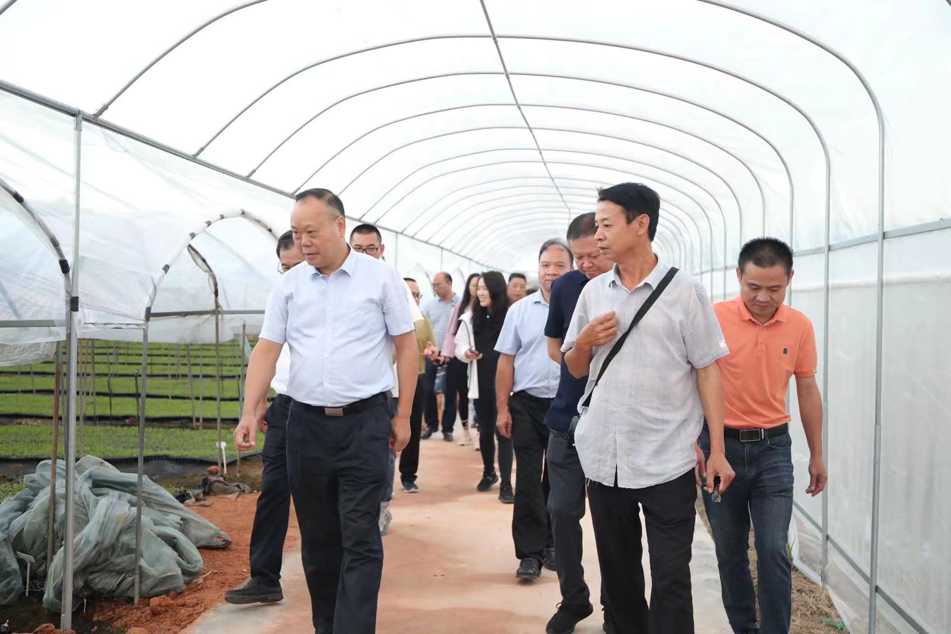 参观盘古乡丰园数字化育苗基地