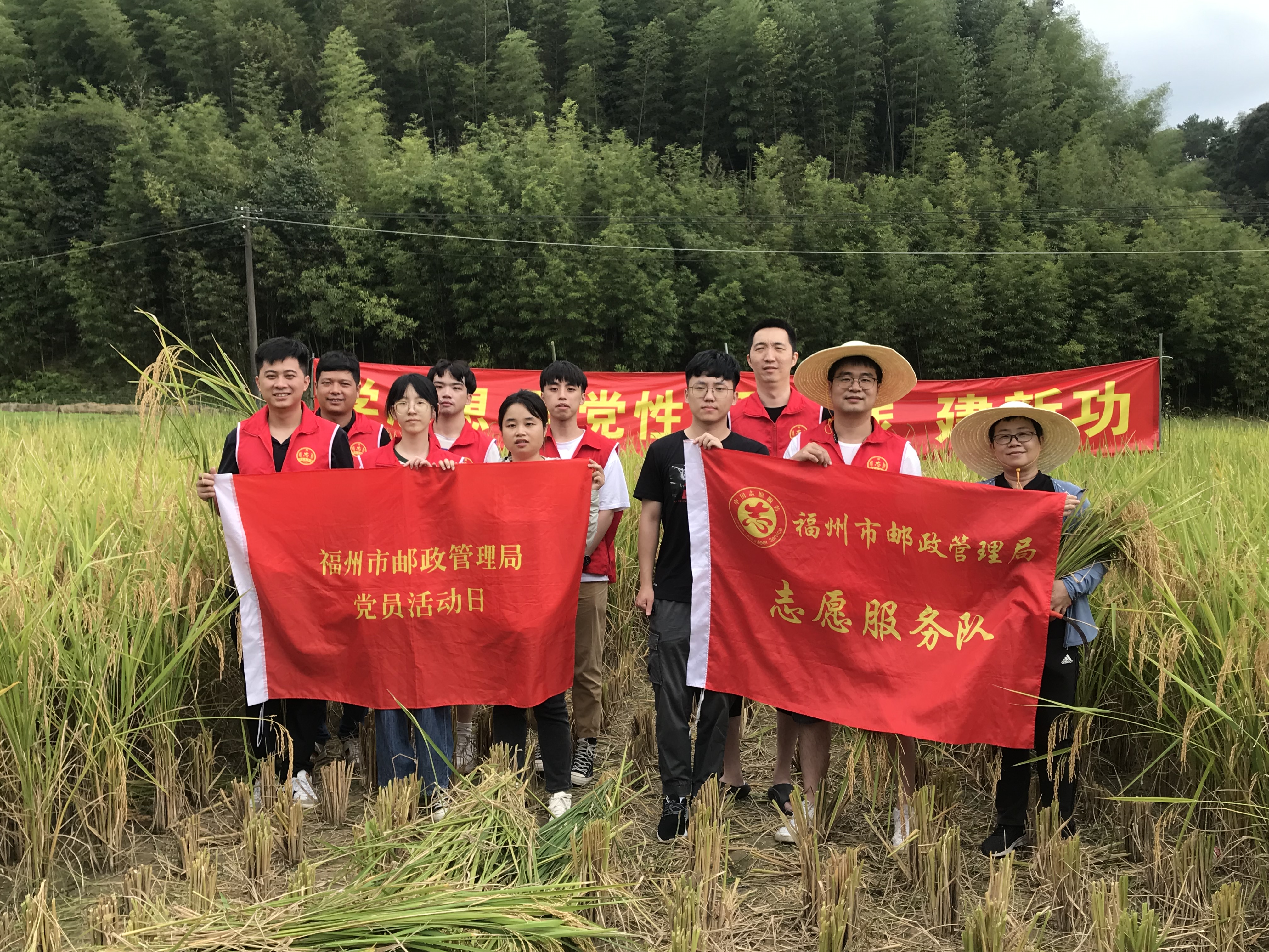 市邮政管理局——市邮政管理局联合市快递行业党委开展”我在乡间有亩田“秋收劳动主题党日活动（1）