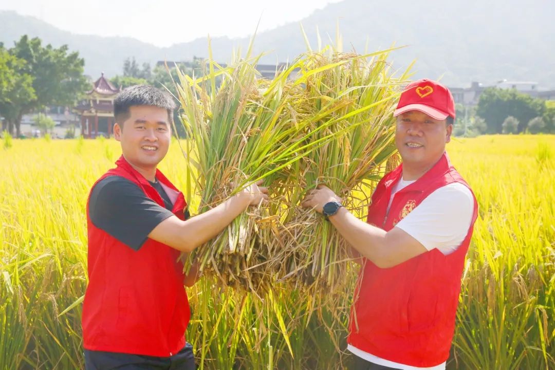 微信图片_20240903173306
