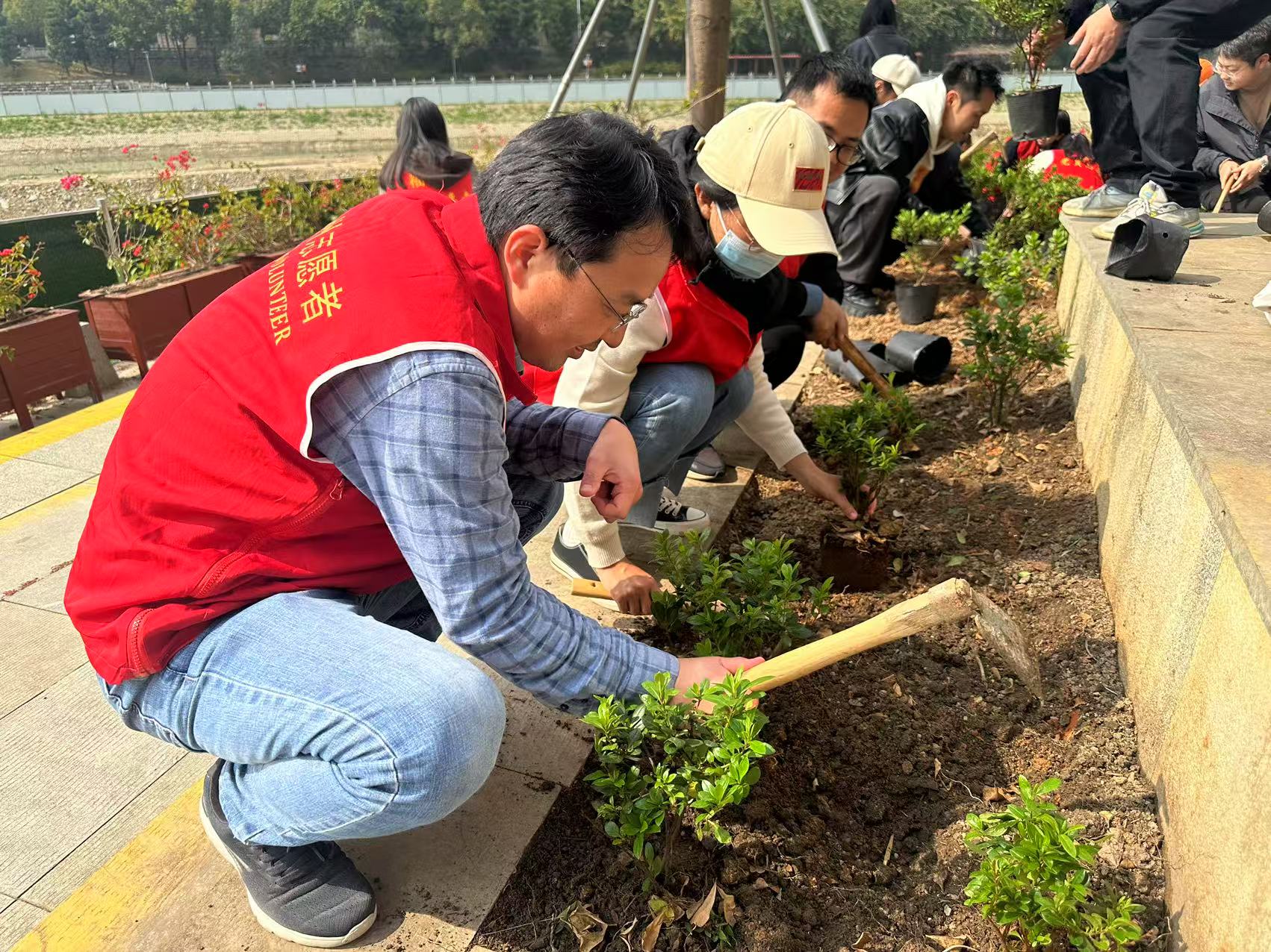 园林中心植树节活动照片 (1)